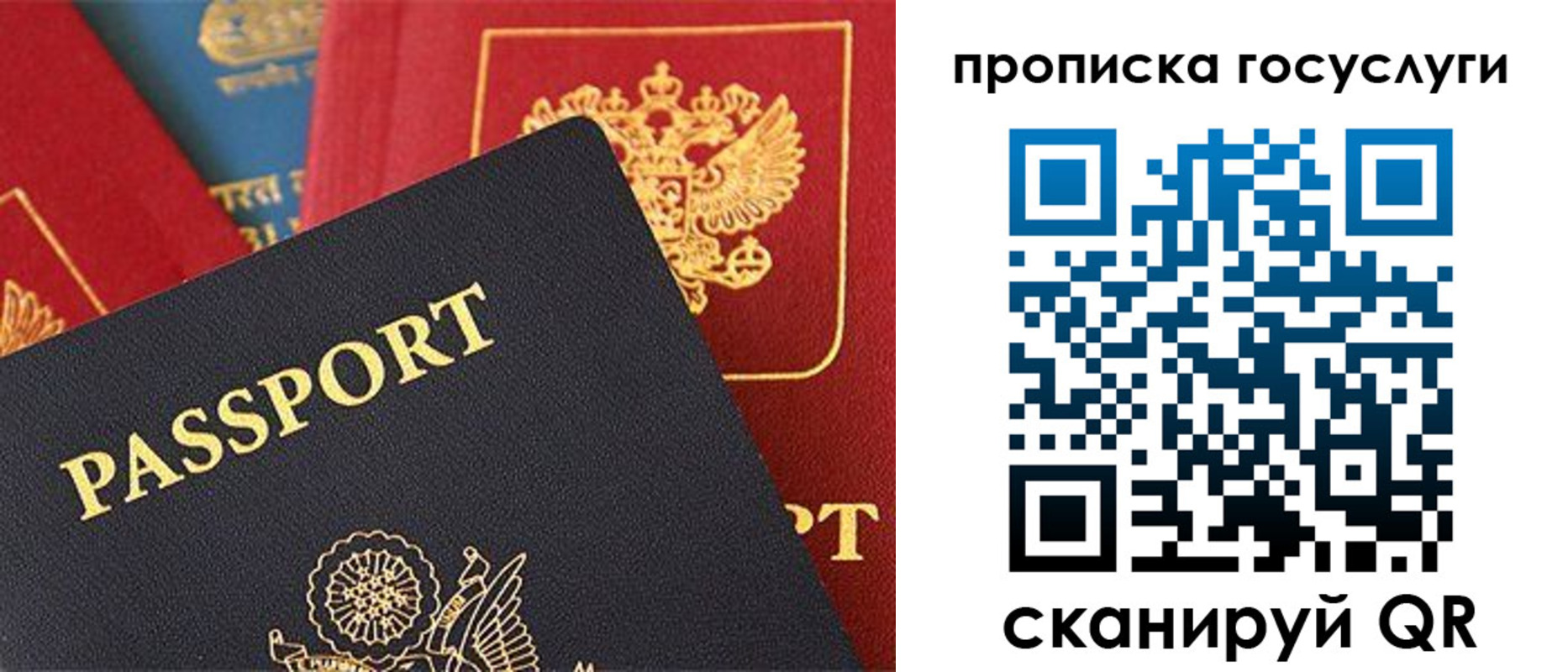 пропишу в квартире в Балтийске